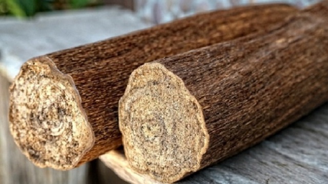 Ca Dao & Tục Ngữ về Trầm Hương