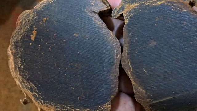 Các yếu tố quyết định giá cả của trầm hương