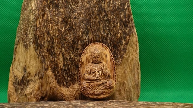 Cây trầm hương rừng