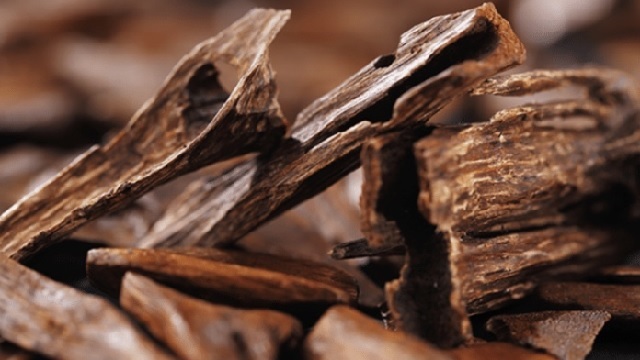 Hiểu về trầm hương rục