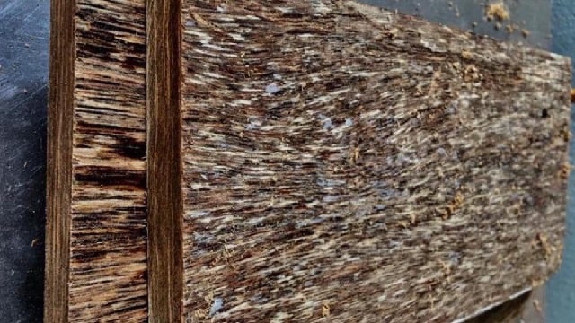 Hiểu về trầm sánh ghép