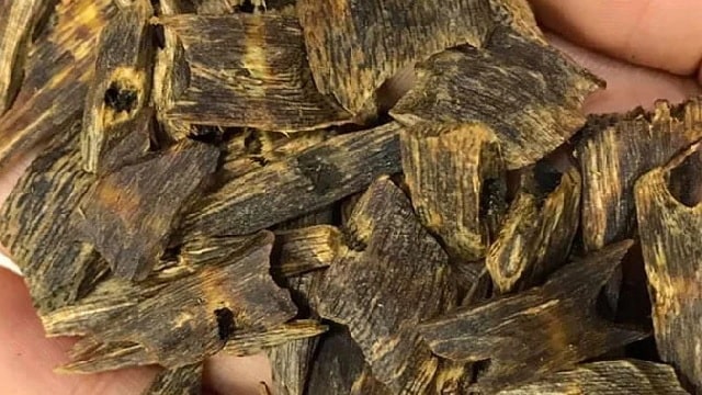 Kỳ Nam là gì?
