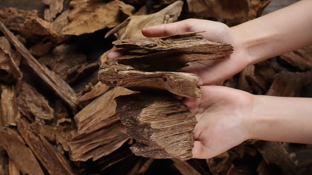 Lựa chọn trầm hương phù hợp cho từng không gian sống