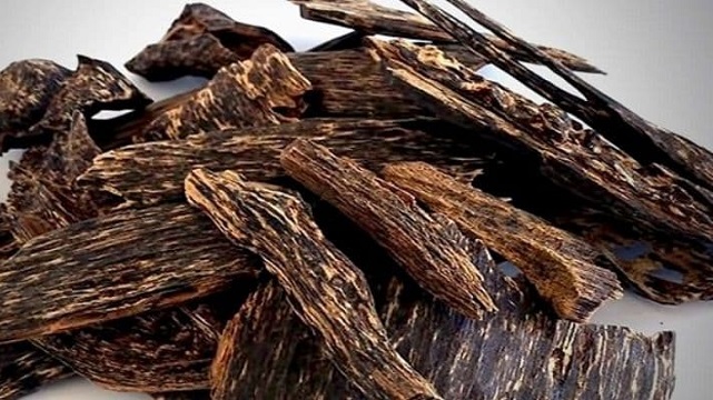 Nên chọn lư bằng sứ hay lư gỗ khi xông trầm miếng?