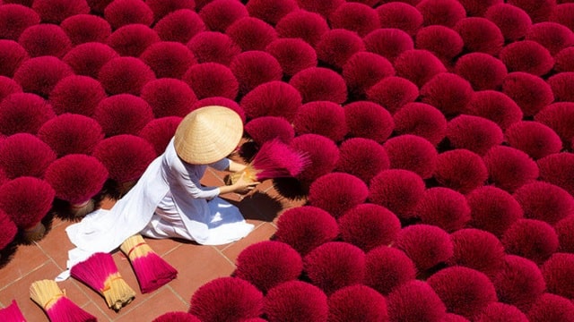 Tại sao chân cây nhang thường có màu đỏ? 