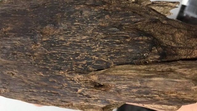 Trầm tốc là gì? Đặc điểm & Phân loại